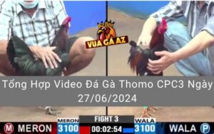 Tổng Hợp Video Đá Gà Thomo CPC3 Ngày 27/06/2024