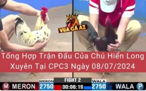 Tổng Hợp Trận Đấu Của Chú Hiển Long Xuyên Tại CPC3 Ngày 08/07/2024