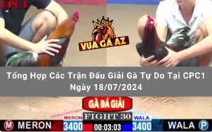 Tổng Hợp Các Trận Đấu Giải Gà Tự Do Tại CPC1 Ngày 18/07/2024