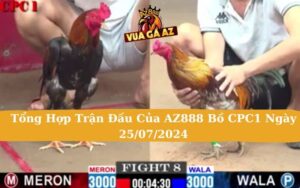 Tổng hợp trận đấu của AZ888 bồ CPC1 ngày 25/07/2024