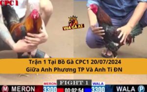 Trận 1 Tại Bồ Gà CPC1 20/07/2024 - Giữa Anh Phương TP Và Anh Ti ĐN