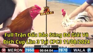 Full Trận Đấu Bảo Sting Đá Giải Vô Địch Cup Lần 3 Tại CPC3 11/08/2024