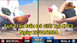 Full Trận Đấu Đá Giải Tại CPC3 Ngày 22/08/2024