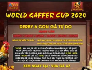 Thông tin thi đấu giải Derby 6 con gà tự do