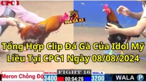 Tổng Hợp Clip Đá Gà Của Idol Mỹ Liều Tại CPC1 Ngày 08/08/2024