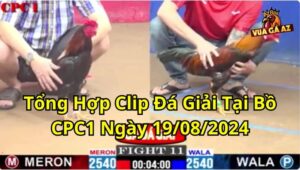 Tổng Hợp Clip Đá Giải Tại Bồ CPC1 Ngày 19/08/2024