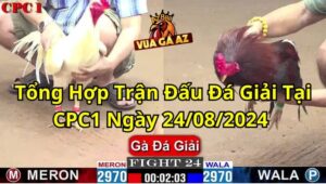 Tổng Hợp Trận Đấu Đá Giải Tại CPC1 Ngày 24/08/2024