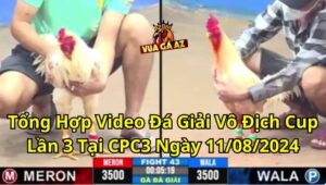 Tổng Hợp Video Đá Giải Vô Địch Cup Lần 3 Tại CPC3 Ngày 11/08/2024