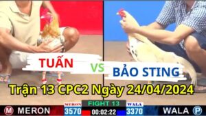 Trận 13 CPC2 ngày 24/04/2024 - anh Tuấn và Bảo Sting đá xổ 1 tỷ