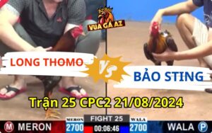 Trận 25 CPC2 21/08/2024 - Bảo Sting Đá Xổ 1 Tỷ Với Anh Long Thomo