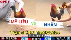 Trận 4 CPC1 13/08/2024 - Gà Anh Mỹ Liều Bị Đối Thủ Hạ 1 Cựa