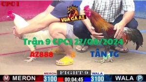 Trận 9 CPC1 27/08/2024 - Gà AZ888 Hạ Gà Anh Tân Chỉ Bằng 2 Chân Đá