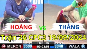 Trận 26 CPC3 19/09/2024 - Gà Anh Hoàng Chồng Độ Đá Bo Lớn