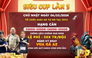 Thông báo giải đá gà tự do tại CPC3 ngày 06/10/2024