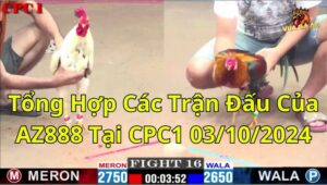 Tổng Hợp Các Trận Đấu Của AZ888 Tại CPC1 03/10/2024