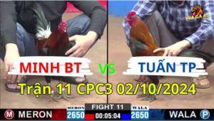 Trận 11 CPC3 02/10/2024 - Đối Thủ Dí Bạc Má Minh Và Cái Kết