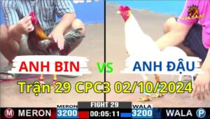 Trận 29 CPC3 02/10/2024 - Gà Anh Bị Anh Đậu Đá Tang Nặng Và Cái Kết Hay