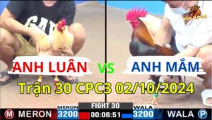 Trận 30 CPC3 02/10/2024 - Anh Luân Và Anh Mắm